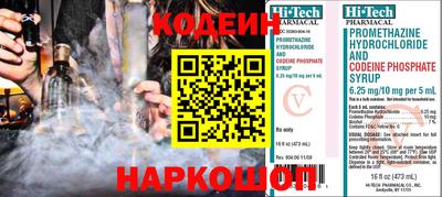спиды Кингисепп