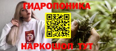 спиды Кингисепп