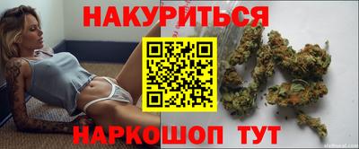 спиды Кингисепп