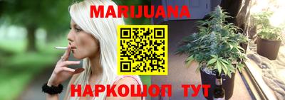 спиды Кингисепп