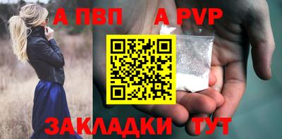 спиды Кингисепп