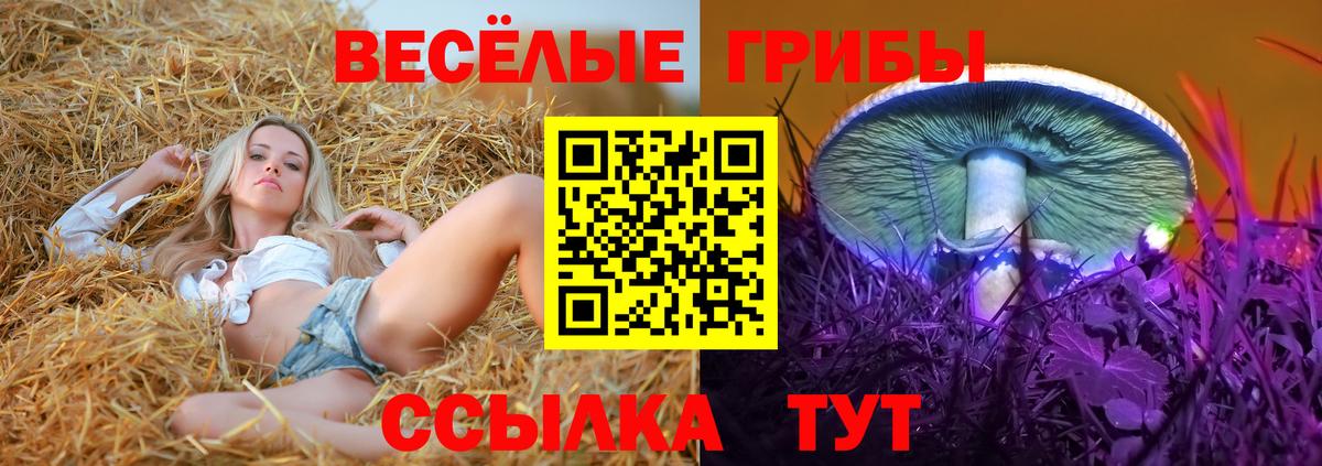 Псилоцибиновые грибы GOLDEN TEACHER Коряжма